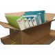 Postpac Carton Box Size 4 (50x30x20)cm